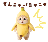 838717272