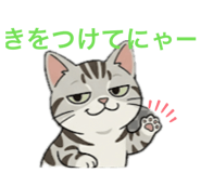 838717364
