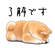 838717609