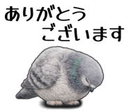838717629