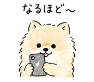838717976