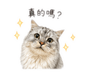 838719271
