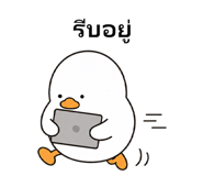 838719294