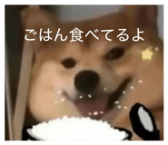 838719538