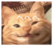 838719544