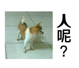 83872156