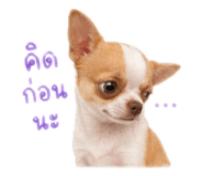 838723679