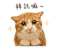 838723864