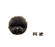838723986