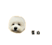 838723987