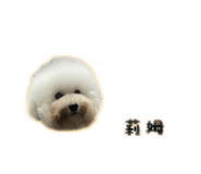 838723988