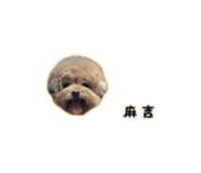 838723989