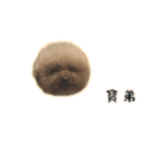 838723992