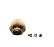 838723993