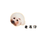 838723994
