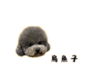838723995