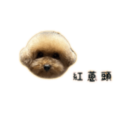 838723996