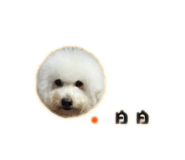 838723998
