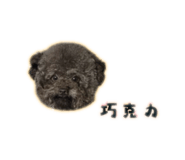838724000