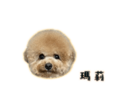 838724001