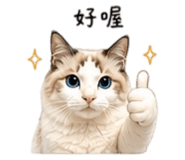 838724323
