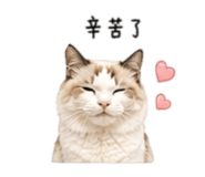 838724347