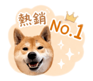 838724659