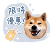 838724660