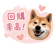 838724668