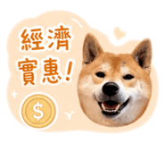 838724669