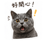 838724821