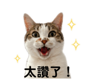 838724991