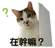 838724998