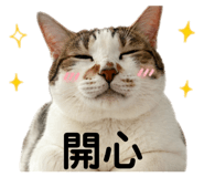 838725000