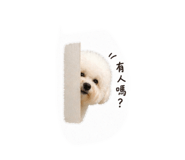 838725066