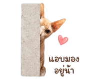 838727051