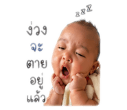 838727119