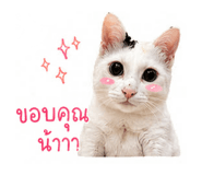 838729353