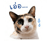 838729376