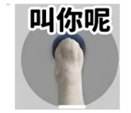 838729904