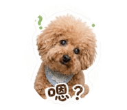 838730055