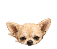 838730131
