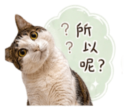 838730540