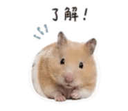 838731551
