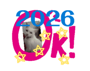 838732942