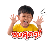 838733225