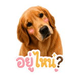 838733257