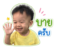 838734136