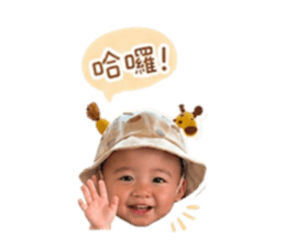 838742433