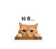 838742553